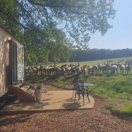 Coachroad Shepherds Huts Petworth Buitenkant foto