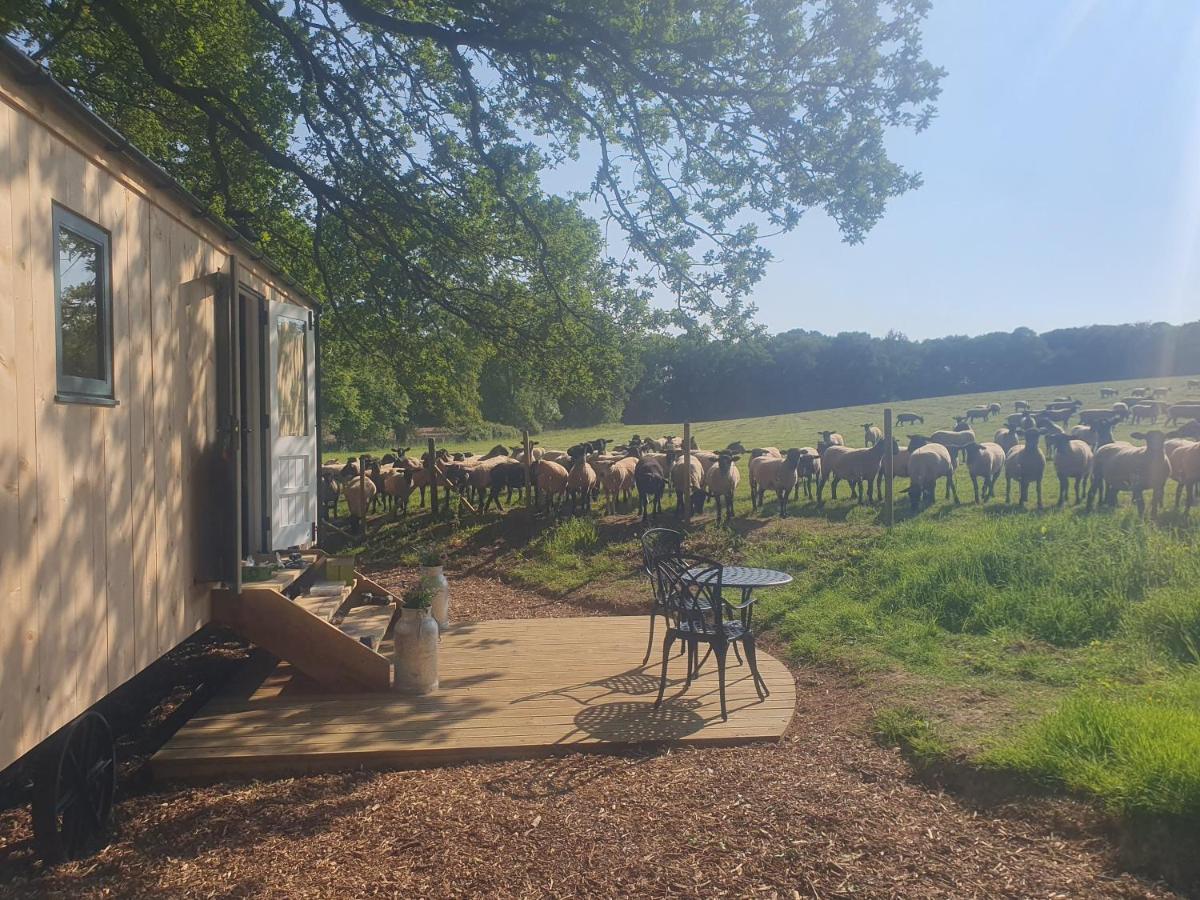 Coachroad Shepherds Huts Petworth Buitenkant foto